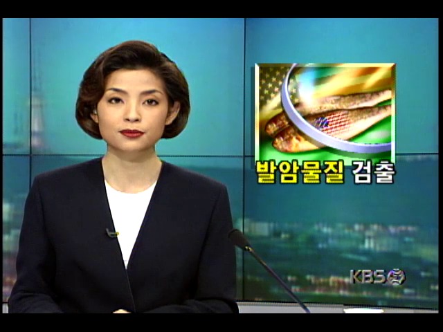 미국 서부해안에서 잡은 조기 발암물질 검출