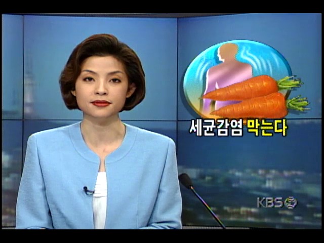 오스트리아 빈 약학대학, 당근 세균 침투 방지 사실 발견