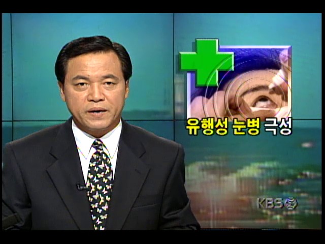여름철 유행성 눈병 극심