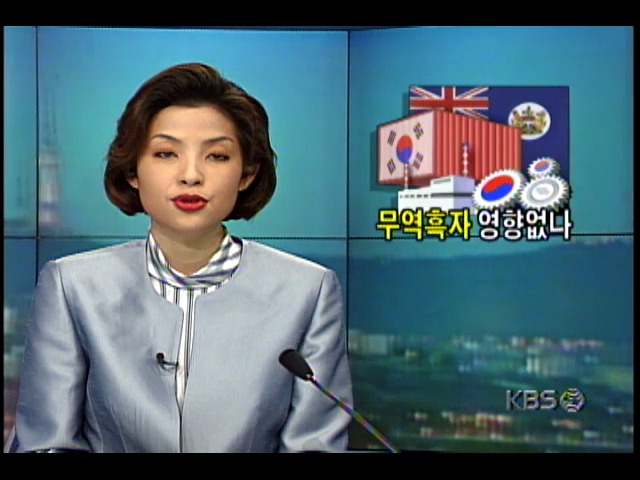 홍콩반환이 한국경제에 미치는 영향 전망