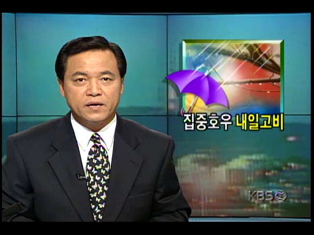 전국 집중호우 상황