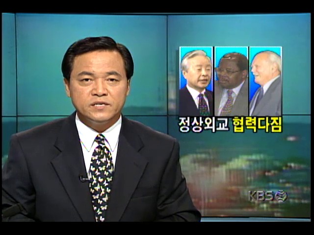 김영삼 대통령 유엔 방문; 탄자니아-헝가리 대통령과 정상회담