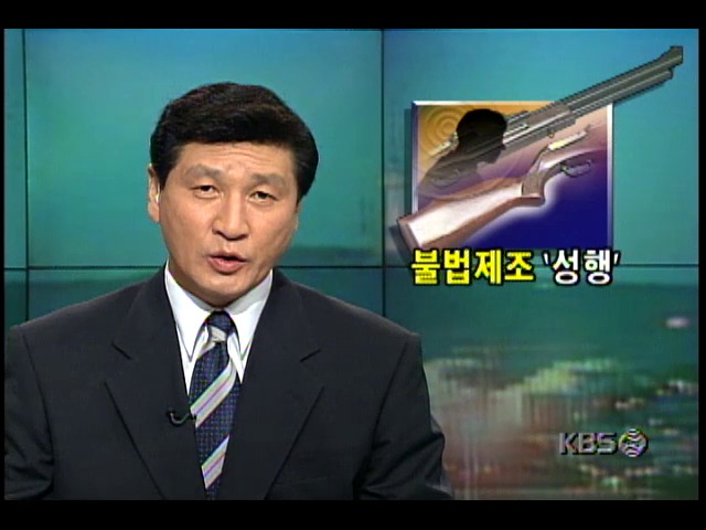 불법총기류 제조업자와 밀매업자 17명 적발