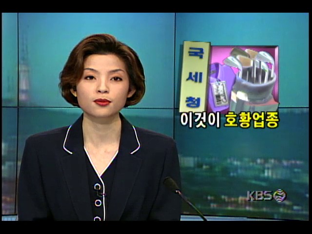 국세청, 호황업종에 대한 세무관리 대폭강화 방침