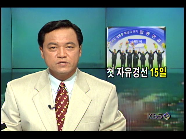 15일 간의 신한국당 자유경선 합동연설회 결산