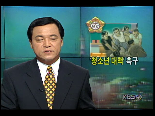 국회 대정부 질문 ; 사회문화분야, 청소년 문제 쟁점