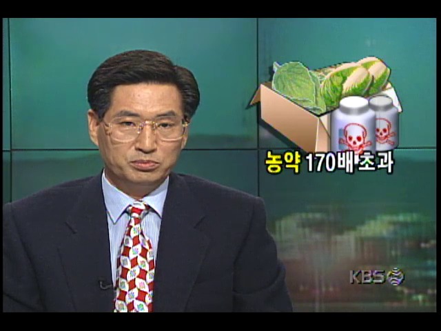 서울 가락동 농수산물 시장의 야채, 농약 허용기준치 170배 초과 검출