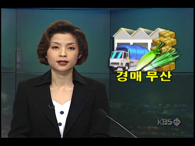서울 가락시장 중도매인들 담합으로 첫 공식경매 무산