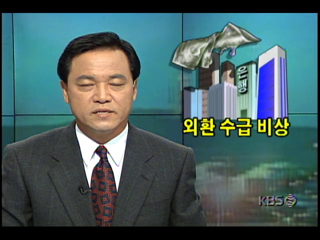 대기업들의 잇단 부도여파로 금융계, 외화 자금난 심각