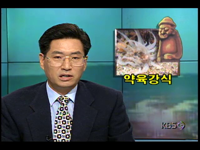 KBS 제주방송총국 취재팀, 물고기들의 생존경쟁 취재