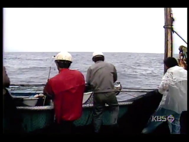정부, 중국-일본 어업협정에 따른 한국어업이익 침해 없도록 주장