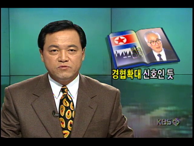 대우그룹 김우중 회장의 북한방문 배경