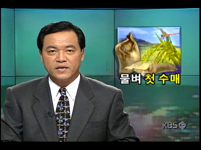 물벼 수매 시작, 수매가 동결