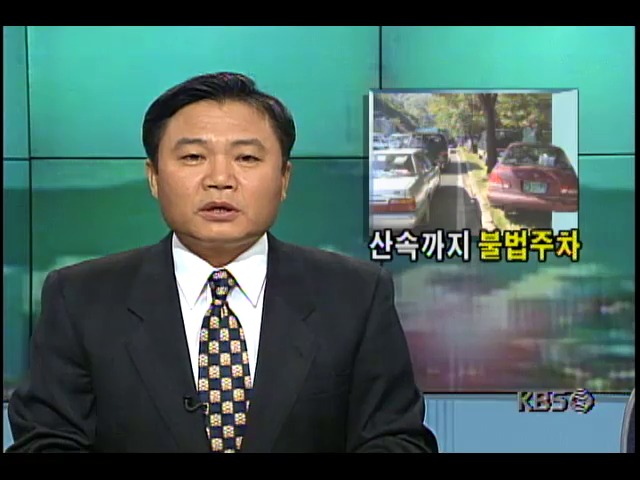 시민정신 연속기획; 설악산 단풍 관광객들, 산속까지 불법주차