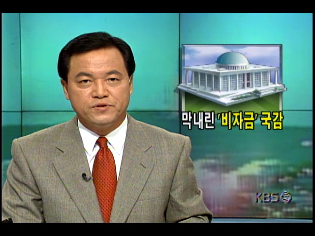 막내린 '비지금' 국감