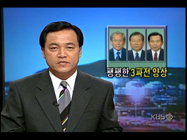 신한국당-민주당, 합당과정