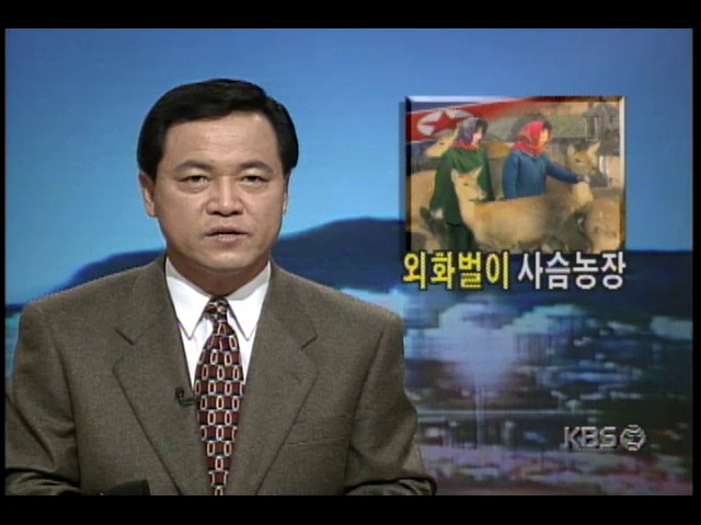 미국 WTN방송, 북한 외화벌이 사슴농장 취재