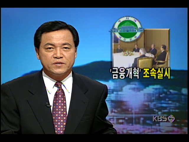 김영삼 대통령, 정당지도자들과 회동; 경제난 해소대책 협의