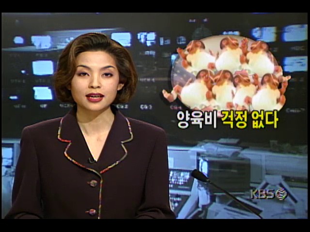 양육비 걱정없다; 건강 되찾아가는 일곱쌍둥이 남매에게 디즈니주식 제공한 증권회사직원 #미국 칼라힐