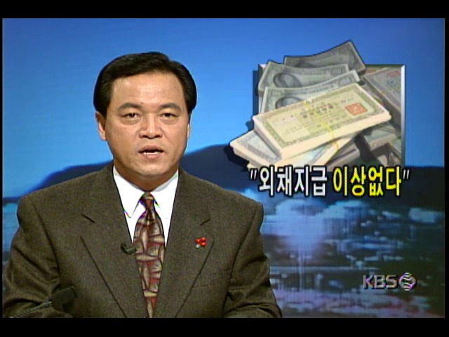 "외채지급 이상없다"; 단기외채상환 어려움 없다는 정규영 한국은행 국제부장