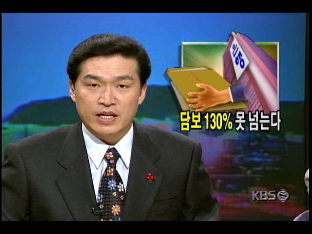 금융기관 대출 담보13% 못넘는다