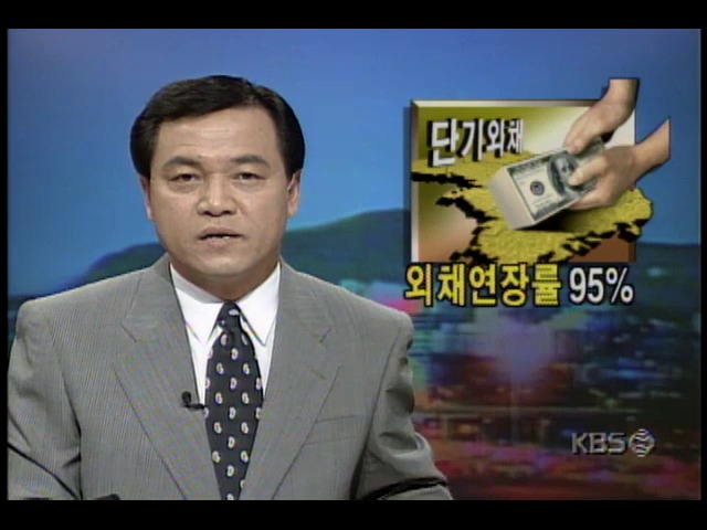 외채 연장률 95%