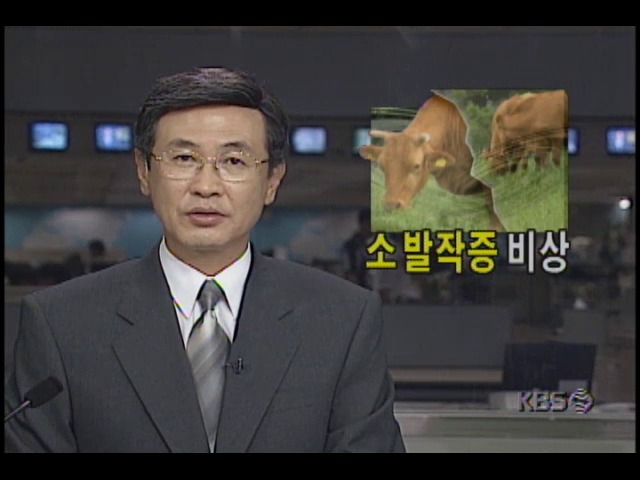 소 발작증 비상