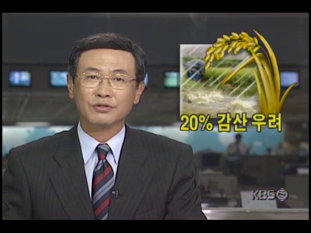 폭우에 벼 수확 20% 감산 우려