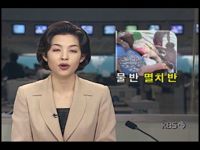물 반 멸치 반