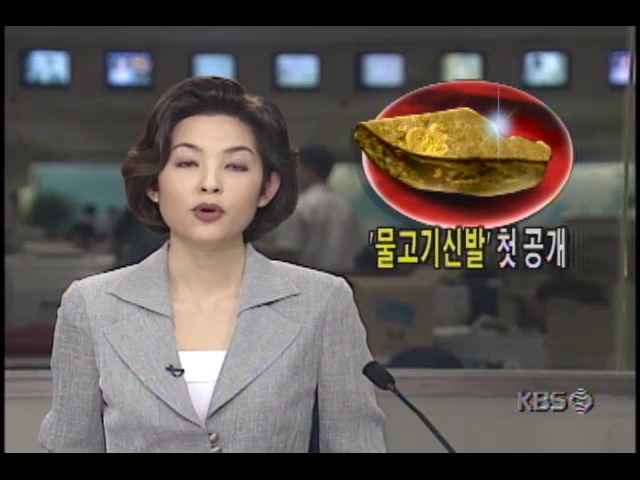 6세기 초 금동 물고기신발 첫 공개