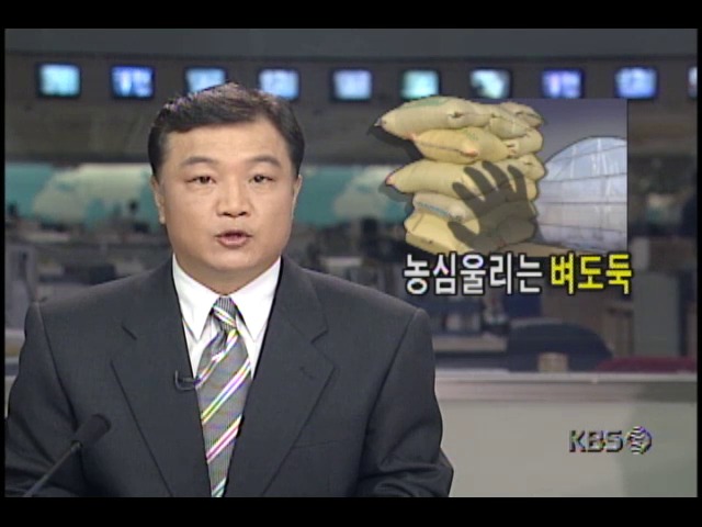 농심 울리는 벼도둑