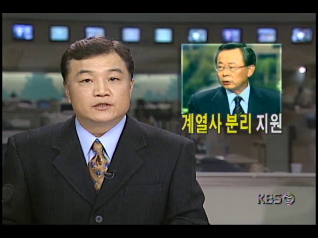 5대 그룹 계열사 분리 지원