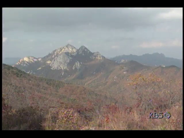 [영상취재] 단풍 절정 이룬 산