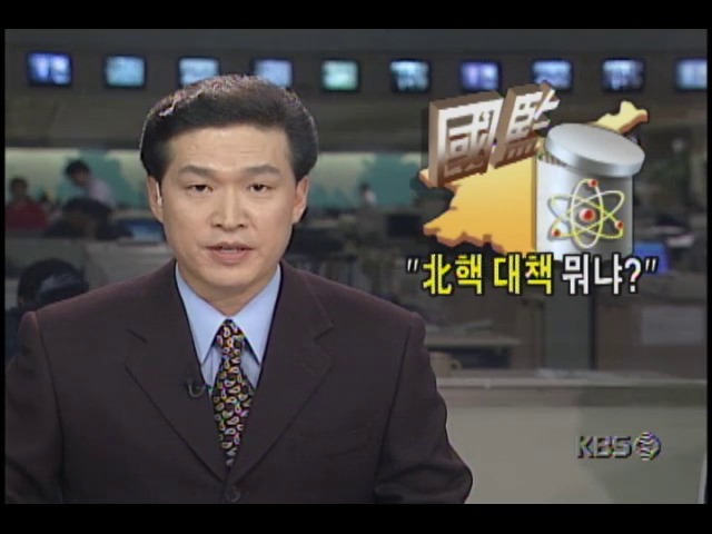 외교통상부 국정감사, 북한 핵 대책뭐냐