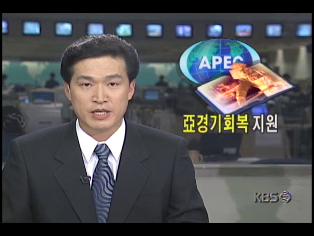 [APEC 정상회의] 아시아 경기회복 지원