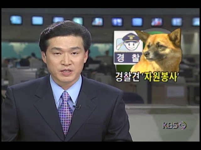 떠돌이 개 미돌이, 경찰견 자원봉사