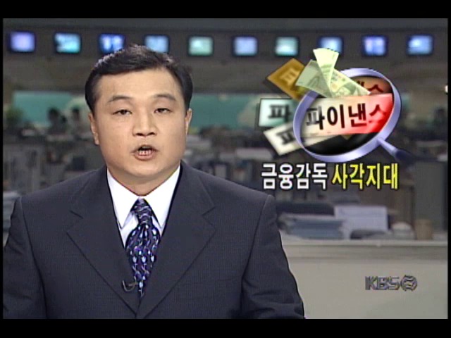 파이낸스사, 금융감독 사각지대