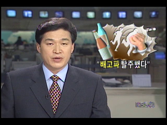 충남 연기군 한 기도원, 수용중인 알콜중독자들 무더기 탈출