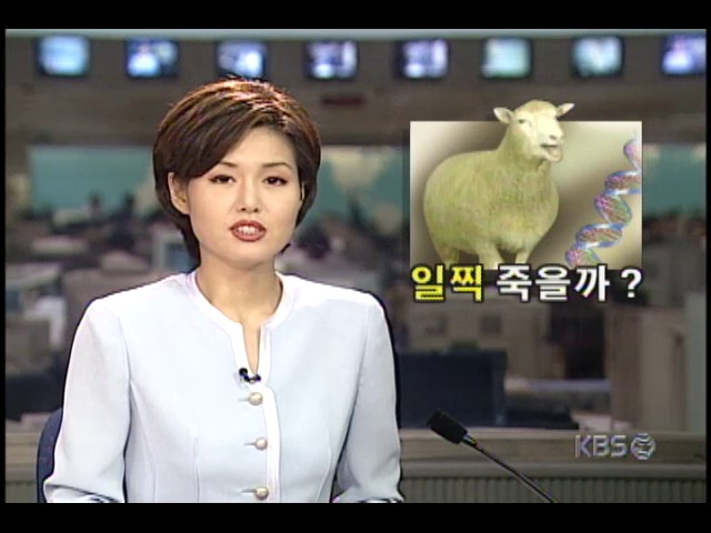 유전자 복제동물, 정상적인 동물보다 빨리 노화