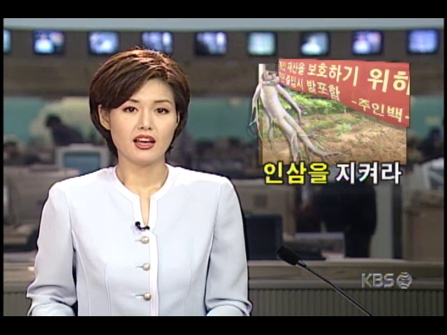 강원도 인삼밭, 절도 잇따라