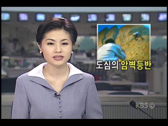 인공 암벽등반, 직장인들에게 인기