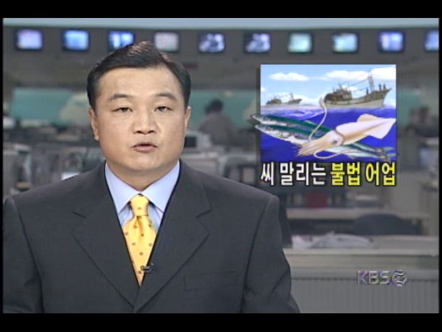 남해안 불법어업 기승