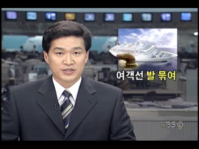 북방경비정 북방한계선 침범; 서해5도와 인천 오가는 여객선, 전면 운항중단