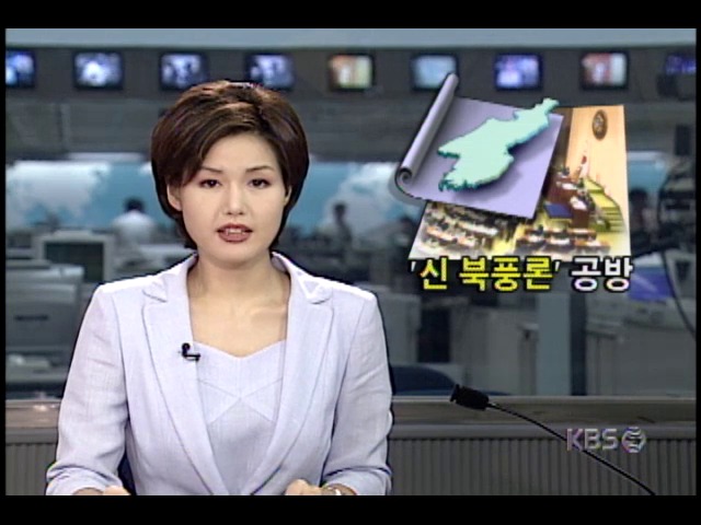 국회 국방위원회, 햇볕정책.신 북풍설 놓고 설전