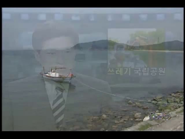 국립공원 태안반도, 생활쓰레기 몸살