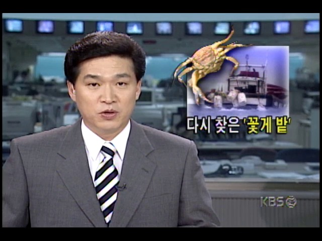 연평도, 서해 상황 진정되며 꽃게조업 시작