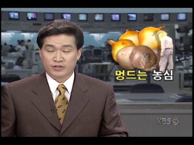 농민에게 높은 가격에 팔아주겠다고 속인뒤 농산물 가로채 도주한 사기단 극성