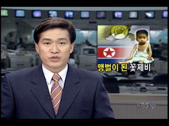 북한 탈출 국경지방 구걸하는 꽃제비들에게, 금품 갈취하는 앵벌이 조직