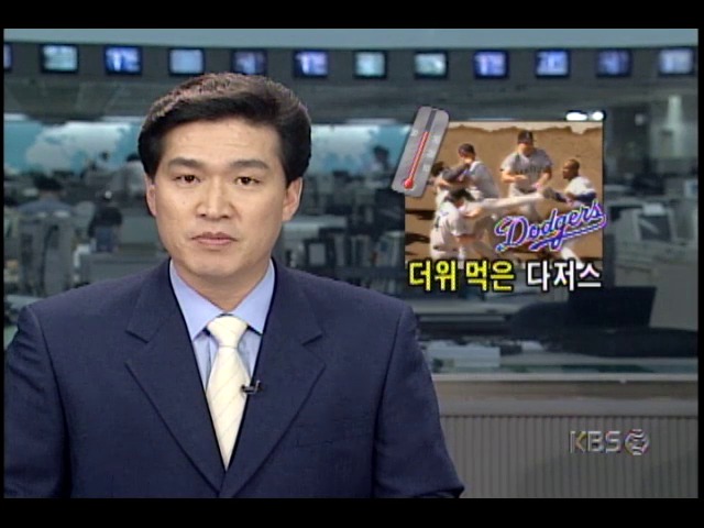 미국 중서부지역 살인적 무더위, 경기장 폭력까지 낳아