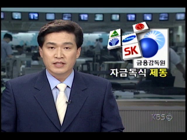 금융감독원, 5대 재벌 계열 금융사들 검사 돌입